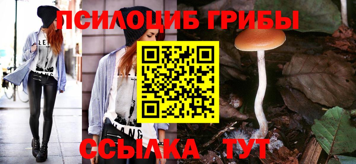 Псилоцибиновые грибы мухоморы Урус-Мартан